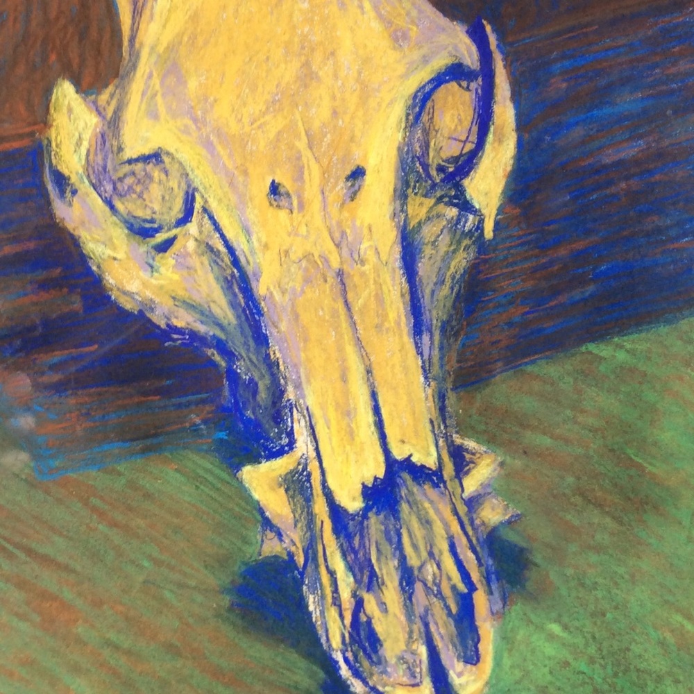 “Skull Study”